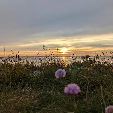 Prázdninový dům Modern Woodland Retreat-by Traum Tarm