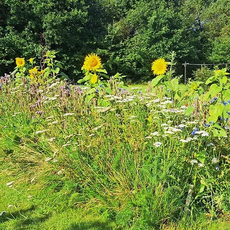 Modern Woodland Retreat-by Traum Prázdninový dům Tarm