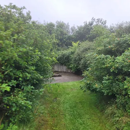 Prázdninový dům Modern Woodland Retreat-by Traum Tarm