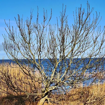 Prázdninový dům Modern Woodland Retreat-by Traum *