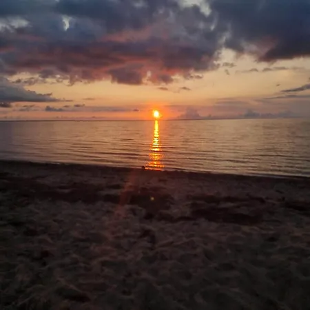 Modern Woodland Retreat-by Traum *