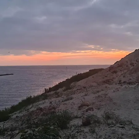 Modern Woodland Retreat-by Traum * Tarm